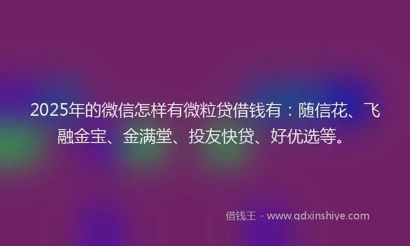 2025年的微信怎样有微粒贷借钱有：随信花、飞融金宝、金满堂、投友快贷、好优选等。