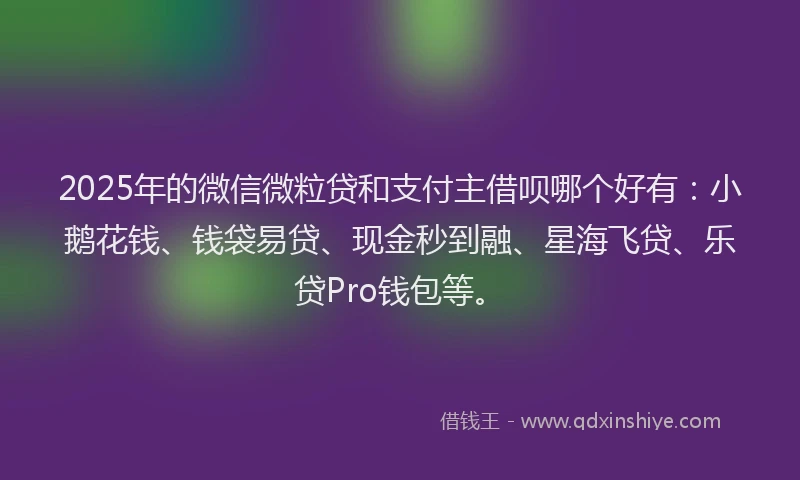 2025年的微信微粒贷和支付主借呗哪个好有：小鹅花钱、钱袋易贷、现金秒到融、星海飞贷、乐贷Pro钱包等。