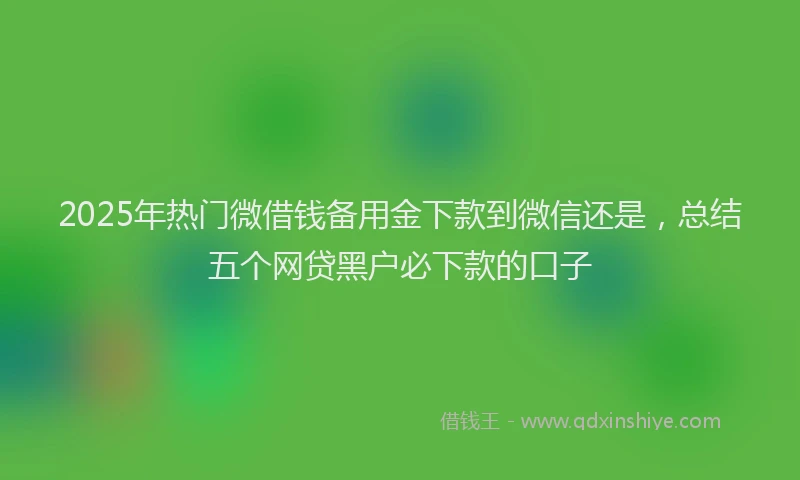 2025年热门微借钱备用金下款到微信还是，总结五个网贷黑户必下款的口子