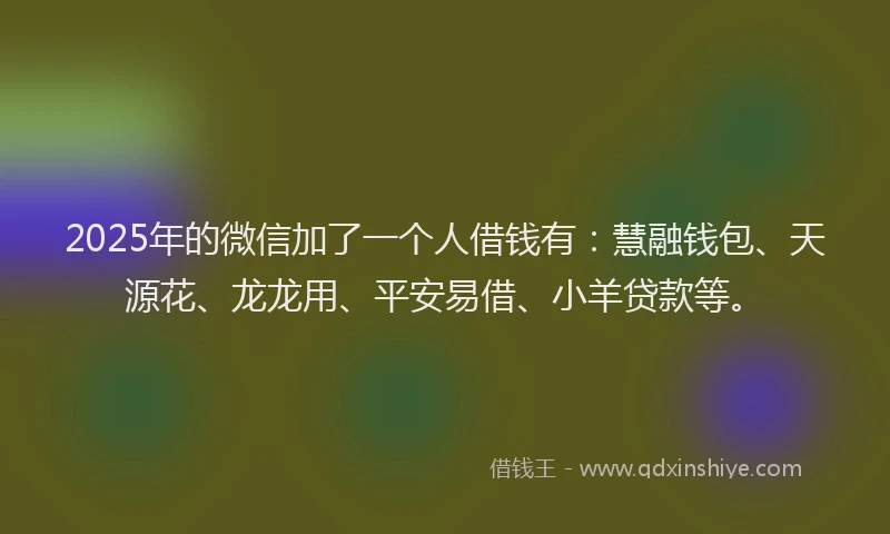 2025年的微信加了一个人借钱有：慧融钱包、天源花、龙龙用、平安易借、小羊贷款等。