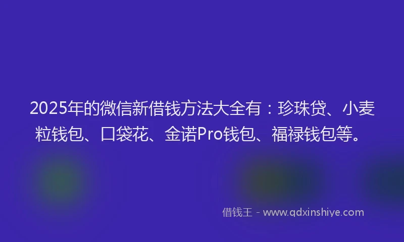 2025年的微信新借钱方法大全有：珍珠贷、小麦粒钱包、口袋花、金诺Pro钱包、福禄钱包等。