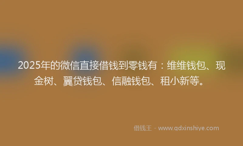 2025年的微信直接借钱到零钱有：维维钱包、现金树、翼贷钱包、信融钱包、租小新等。