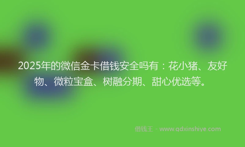 2025年的微信金卡借钱安全吗有：花小猪、友好物、微粒宝盒、树融分期、甜心优选等。
