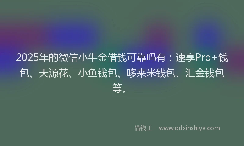2025年的微信小牛金借钱可靠吗有：速享Pro+钱包、天源花、小鱼钱包、哆来米钱包、汇金钱包等。