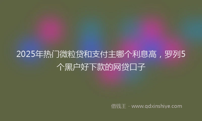 2025年热门微粒贷和支付主哪个利息高,罗列5个黑户好下款的网贷口子