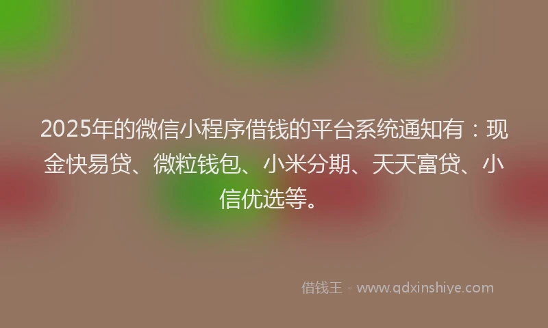 2025年的微信小程序借钱的平台系统通知有：现金快易贷、微粒钱包、小米分期、天天富贷、小信优选等。