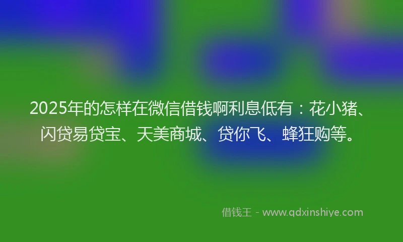 2025年的怎样在微信借钱啊利息低有：花小猪、闪贷易贷宝、天美商城、贷你飞、蜂狂购等。