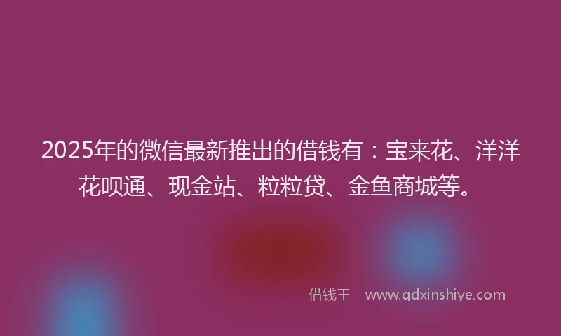 2025年的微信最新推出的借钱有：宝来花、洋洋花呗通、现金站、粒粒贷、金鱼商城等。