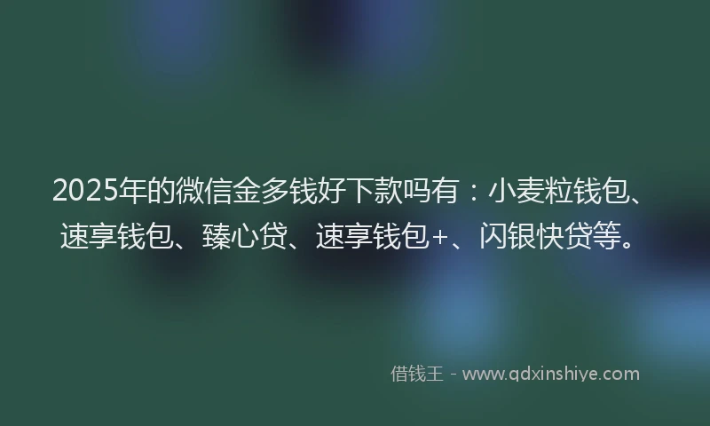 2025年的微信金多钱好下款吗有：小麦粒钱包、速享钱包、臻心贷、速享钱包+、闪银快贷等。
