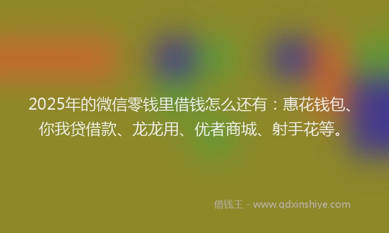 2025年的微信零钱里借钱怎么还有：惠花钱包、你我贷借款、龙龙用、优者商城、射手花等。