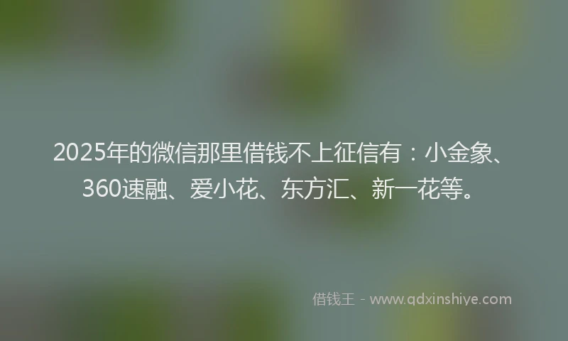 2025年的微信那里借钱不上征信有:小金象、360速融、爱小花、东方汇、新一花等。