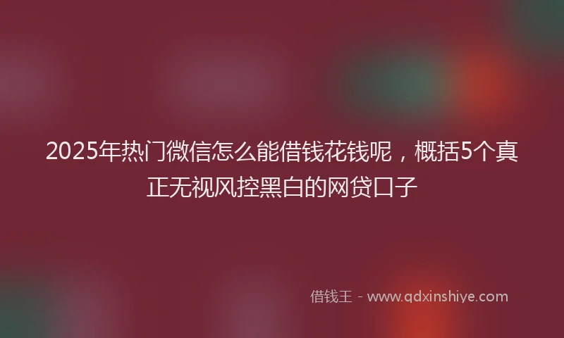 2025年热门微信怎么能借钱花钱呢，概括5个真正无视风控黑白的网贷口子