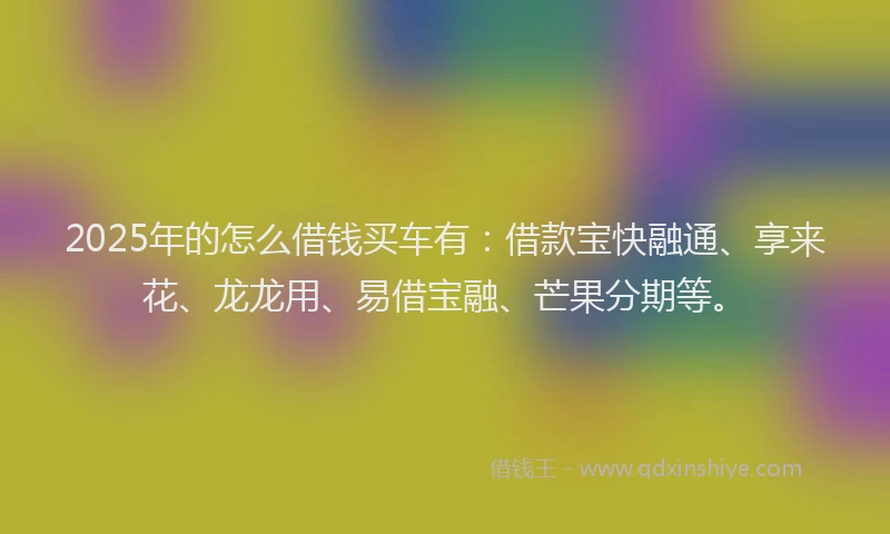 2025年的怎么借钱买车有：借款宝快融通、享来花、龙龙用、易借宝融、芒果分期等。