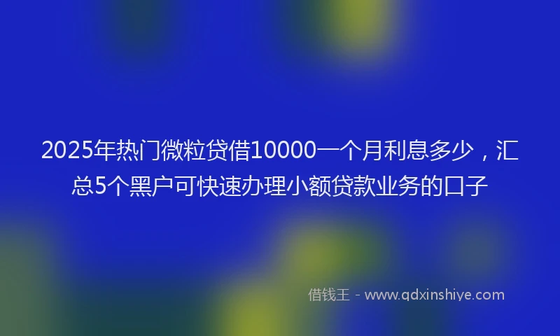 2025年热门微粒贷借10000一个月利息多少,汇总5个黑户可快速办理小额贷款业务的口子