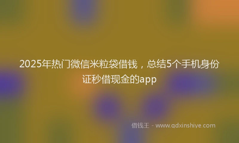 2025年热门微信米粒袋借钱，总结5个手机身份证秒借现金的app