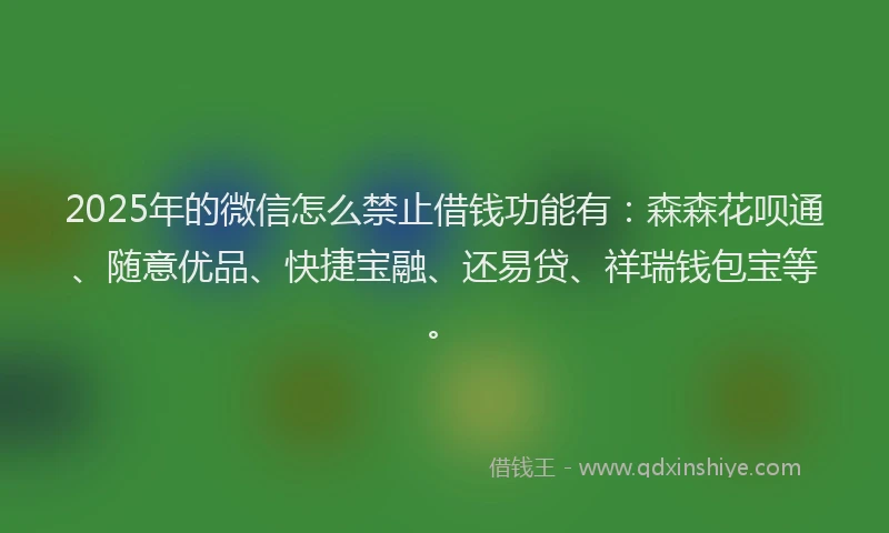 2025年的微信怎么禁止借钱功能有：森森花呗通、随意优品、快捷宝融、还易贷、祥瑞钱包宝等。