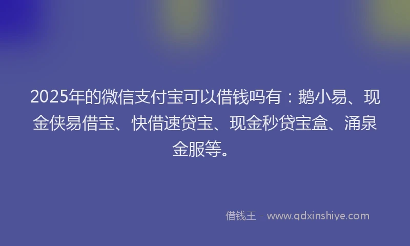2025年的微信支付宝可以借钱吗有：鹅小易、现金侠易借宝、快借速贷宝、现金秒贷宝盒、涌泉金服等。