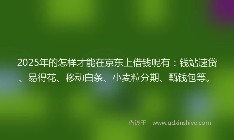 2025年的怎样才能在京东上借钱呢有：钱站速贷、易得花、移动白条、小麦粒分期、甄钱包等。