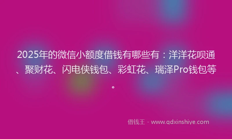 2025年的微信小额度借钱有哪些有：洋洋花呗通、聚财花、闪电侠钱包、彩虹花、瑞泽Pro钱包等。
