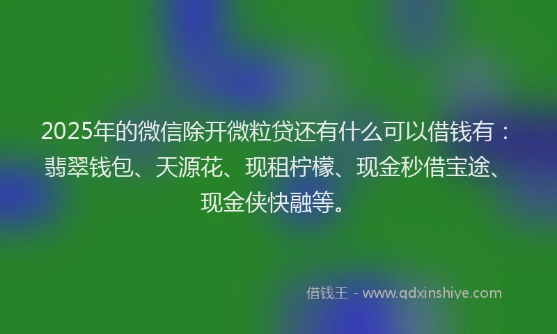 2025年的微信除开微粒贷还有什么可以借钱有：翡翠钱包、天源花、现租柠檬、现金秒借宝途、现金侠快融等。
