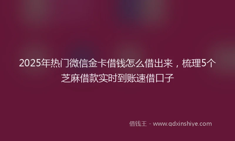2025年热门微信金卡借钱怎么借出来，梳理5个芝麻借款实时到账速借口子