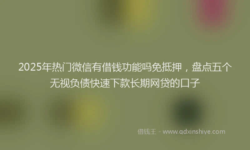 2025年热门微信有借钱功能吗免抵押，盘点五个无视负债快速下款长期网贷的口子