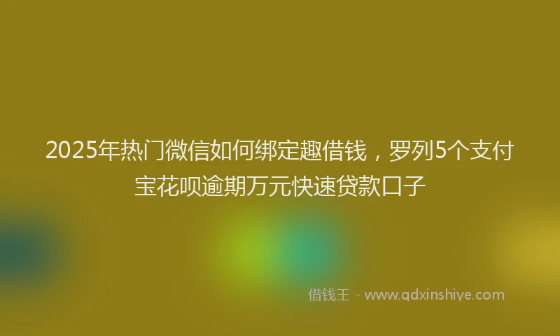 2025年热门微信如何绑定趣借钱，罗列5个支付宝花呗逾期万元快速贷款口子