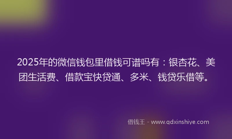 2025年的微信钱包里借钱可谱吗有：银杏花、美团生活费、借款宝快贷通、多米、钱贷乐借等。