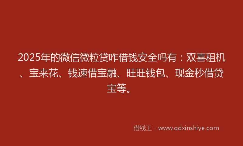 2025年的微信微粒贷咋借钱安全吗有：双喜租机、宝来花、钱速借宝融、旺旺钱包、现金秒借贷宝等。