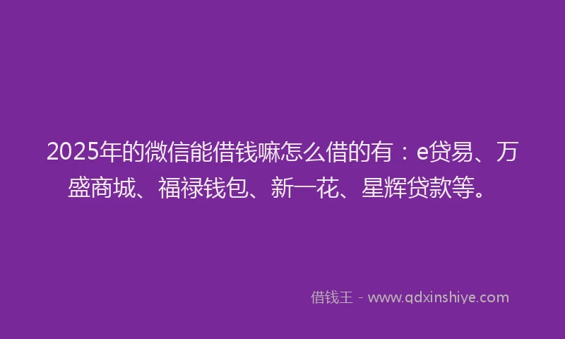 2025年的微信能借钱嘛怎么借的有：e贷易、万盛商城、福禄钱包、新一花、星辉贷款等。