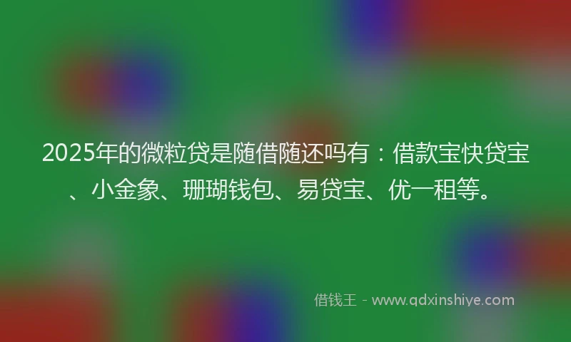 2025年的微粒贷是随借随还吗有：借款宝快贷宝、小金象、珊瑚钱包、易贷宝、优一租等。