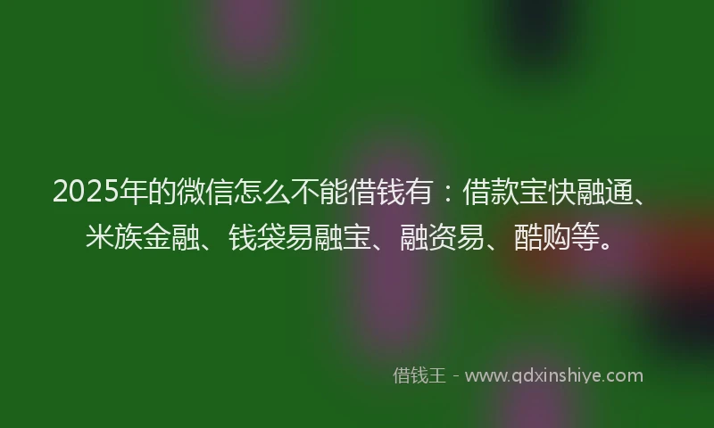 2025年的微信怎么不能借钱有：借款宝快融通、米族金融、钱袋易融宝、融资易、酷购等。