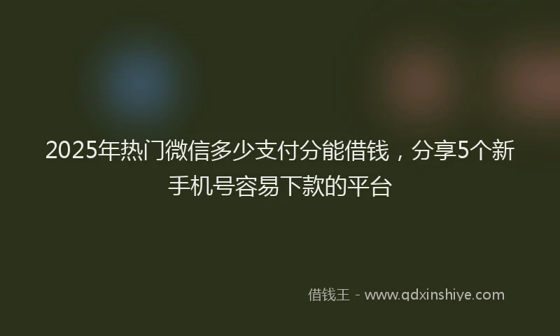 2025年热门微信多少支付分能借钱，分享5个新手机号容易下款的平台