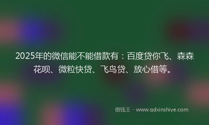 2025年的微信能不能借款有：百度贷你飞、森森花呗、微粒快贷、飞鸟贷、放心借等。