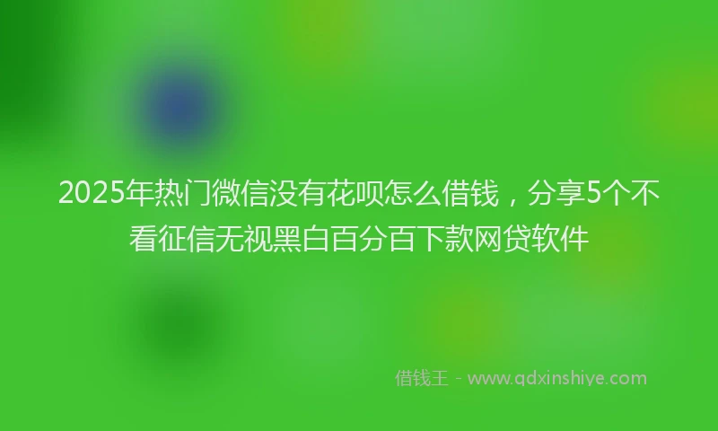 2025年热门微信没有花呗怎么借钱，分享5个不看征信无视黑白百分百下款网贷软件