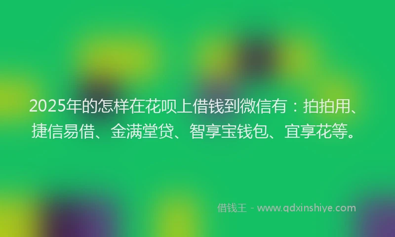 2025年的怎样在花呗上借钱到微信有：拍拍用、捷信易借、金满堂贷、智享宝钱包、宜享花等。