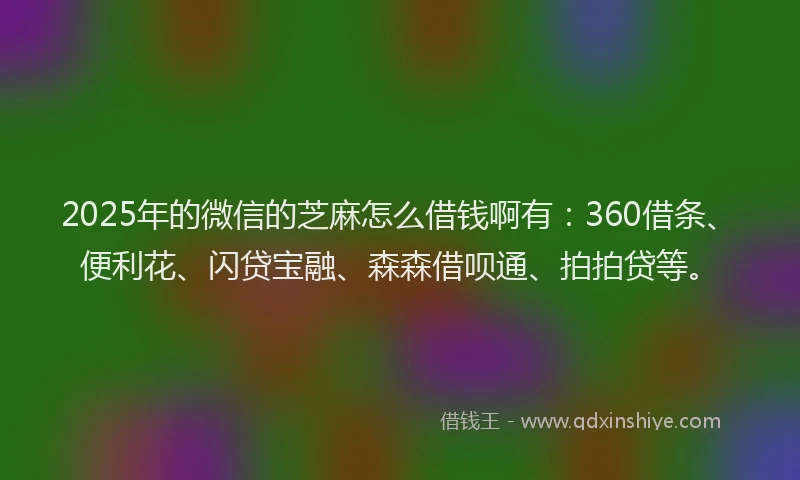 2025年的微信的芝麻怎么借钱啊有：360借条、便利花、闪贷宝融、森森借呗通、拍拍贷等。