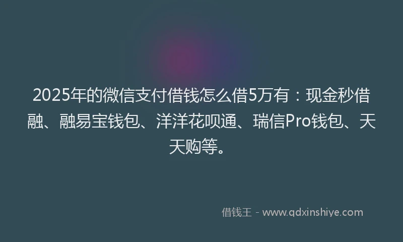 2025年的微信支付借钱怎么借5万有：现金秒借融、融易宝钱包、洋洋花呗通、瑞信Pro钱包、天天购等。