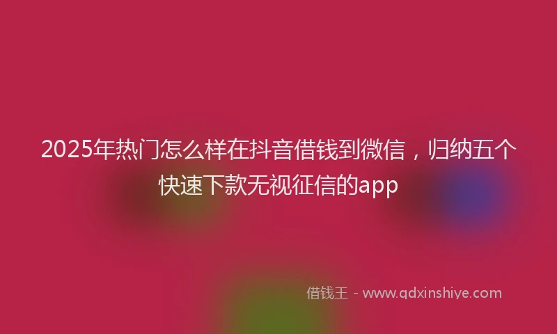 2025年热门怎么样在抖音借钱到微信,归纳五个快速下款无视征信的app
