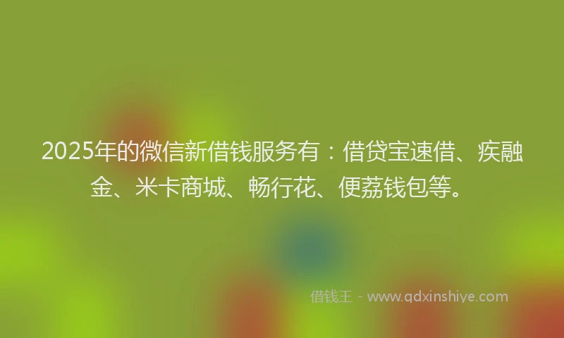 2025年的微信新借钱服务有：借贷宝速借、疾融金、米卡商城、畅行花、便荔钱包等。