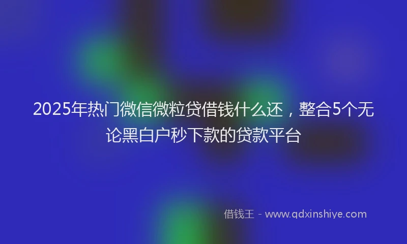 2025年热门微信微粒贷借钱什么还，整合5个无论黑白户秒下款的贷款平台