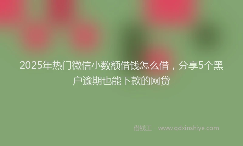 2025年热门微信小数额借钱怎么借，分享5个黑户逾期也能下款的网贷
