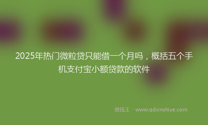 2025年热门微粒贷只能借一个月吗，概括五个手机支付宝小额贷款的软件