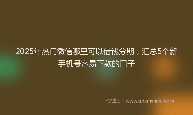 2025年热门微信哪里可以借钱分期，汇总5个新手机号容易下款的口子