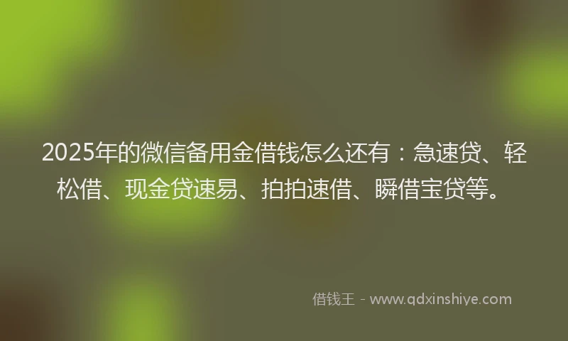 2025年的微信备用金借钱怎么还有：急速贷、轻松借、现金贷速易、拍拍速借、瞬借宝贷等。