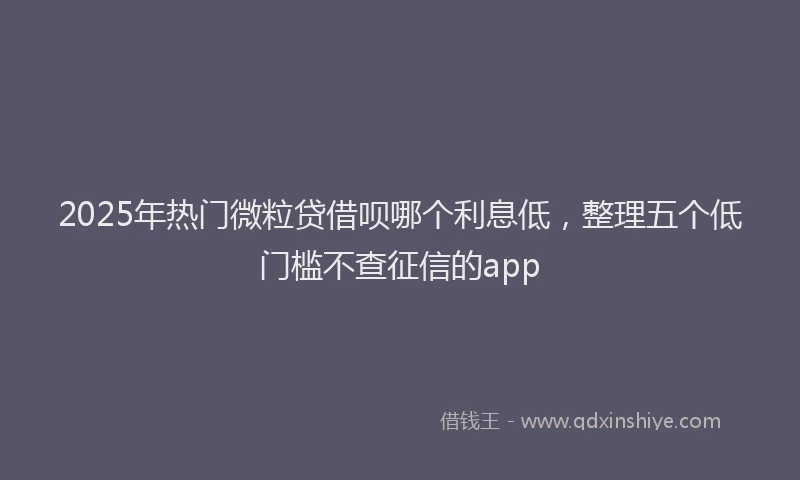 2025年热门微粒贷借呗哪个利息低，整理五个低门槛不查征信的app