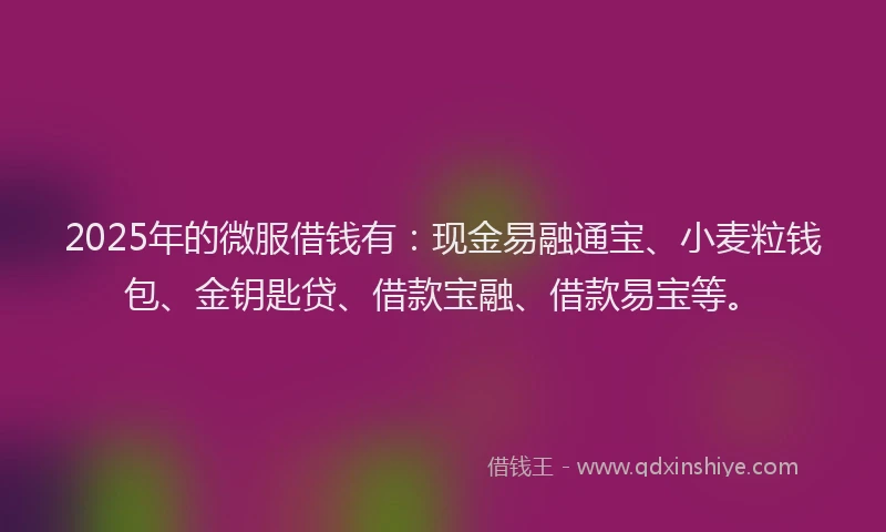 2025年的微服借钱有：现金易融通宝、小麦粒钱包、金钥匙贷、借款宝融、借款易宝等。