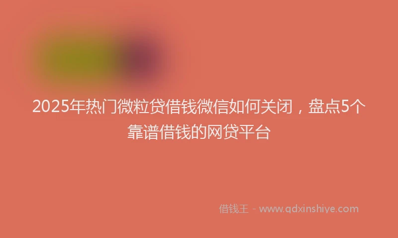 2025年热门微粒贷借钱微信如何关闭，盘点5个靠谱借钱的网贷平台