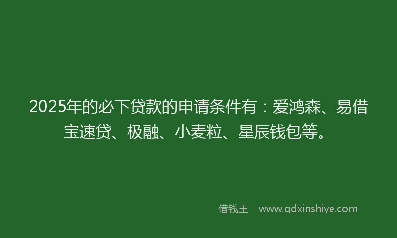 2025年的必下贷款的申请条件有：爱鸿森、易借宝速贷、极融、小麦粒、星辰钱包等。
