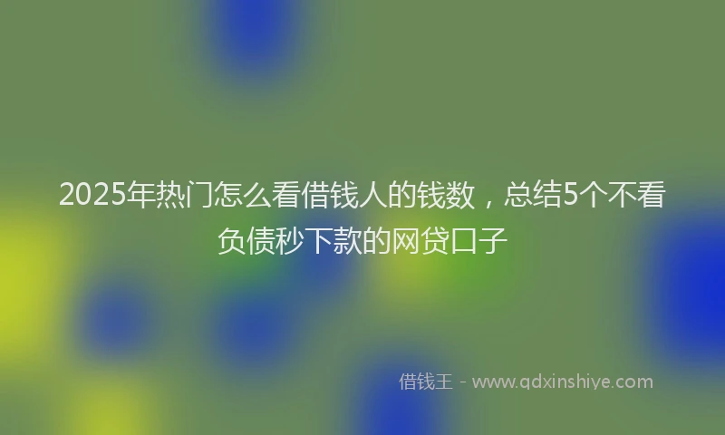 2025年热门怎么看借钱人的钱数，总结5个不看负债秒下款的网贷口子